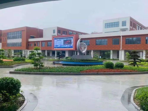 多图 重庆路中学 北苑小学今秋投入使用 还有2所学校规划问题最新答复