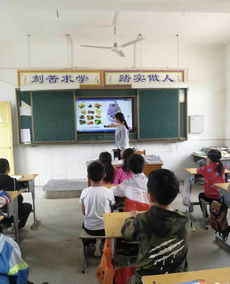 南阳市淅川老城黑龙泉小学开展食品安全教育主题活动