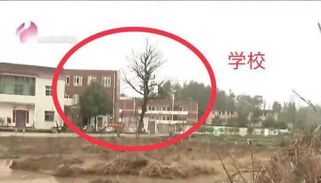 安徽池州一小学门口挖鱼塘,离校门仅10米,家长、学校都很担心!